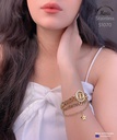 51070 انسيال ستانلس عيار 316 ماركة اشون جولد سى دي سلاسل جرومت